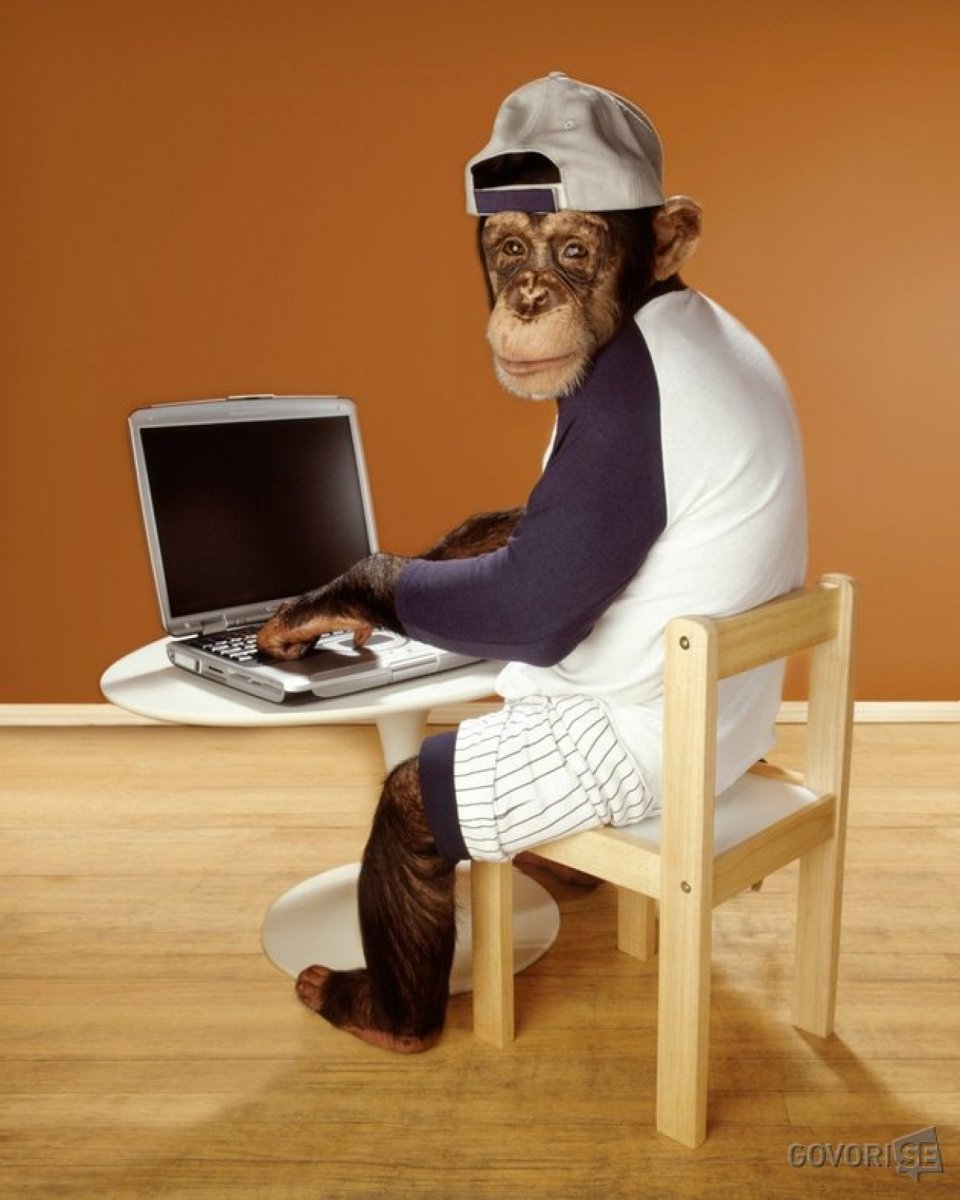 Обезьянка за ноутбуком