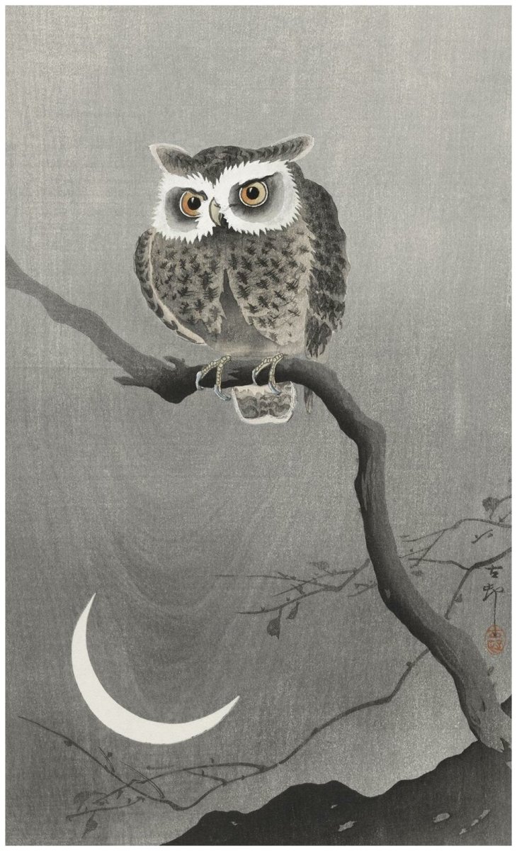 Охара Косон картины Сова