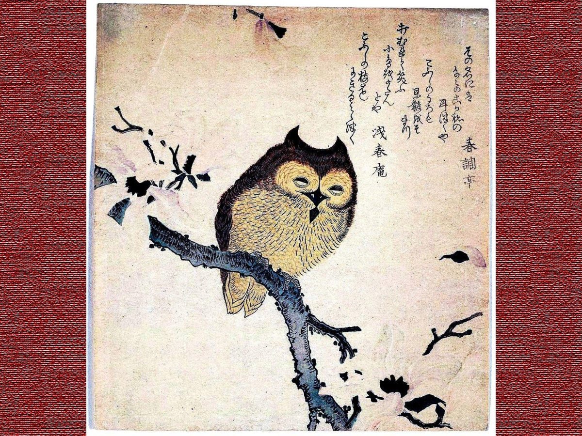 Картинка Филина стоящего на карандашах