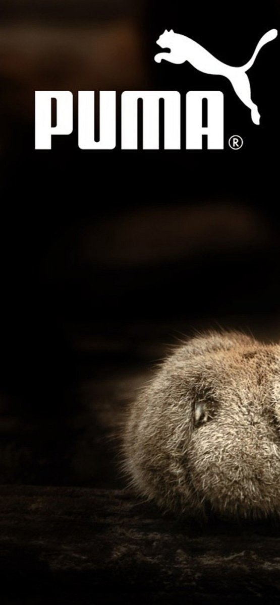 Пума эмблема