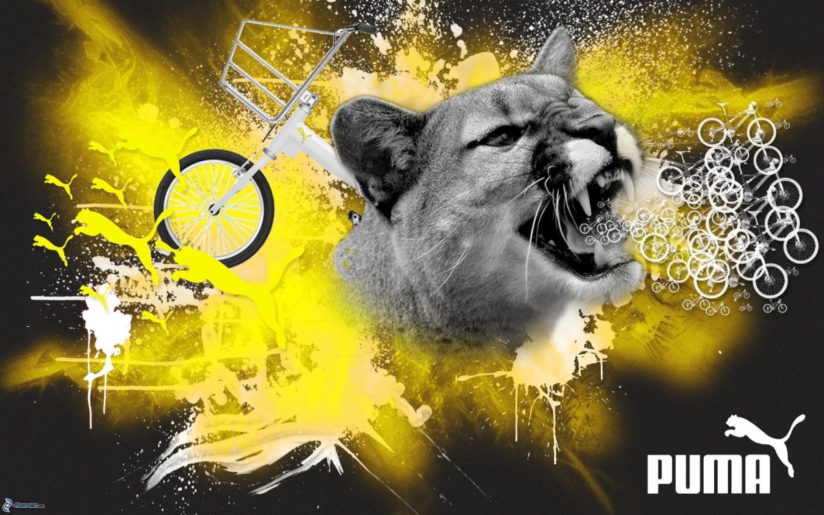Обои Пума