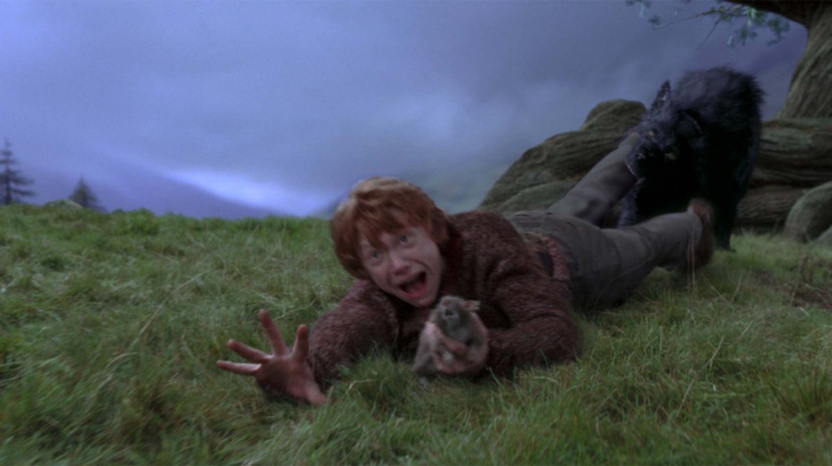 Гарри Поттер крыса Рона