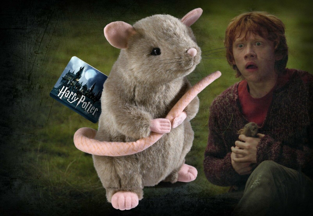 Scabbers Harry Potter