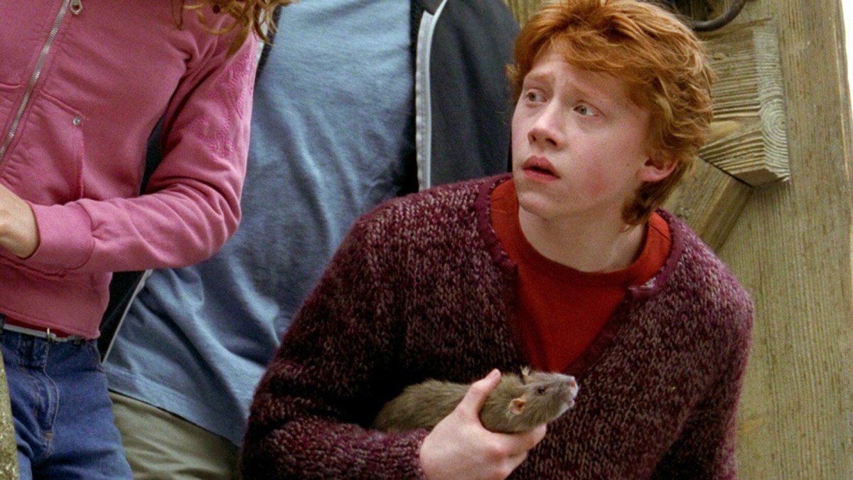 Гарри Поттер крыса Рона из фильма
