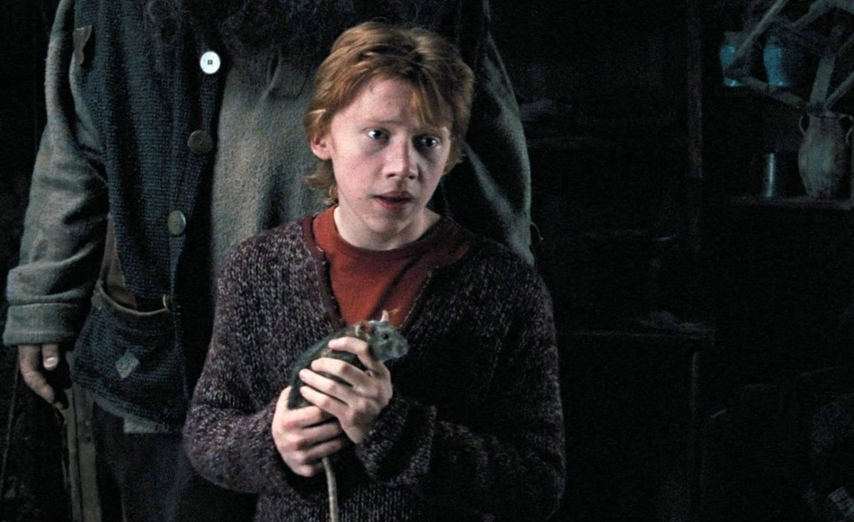 Гарри Поттер и узник Азкабана крыса