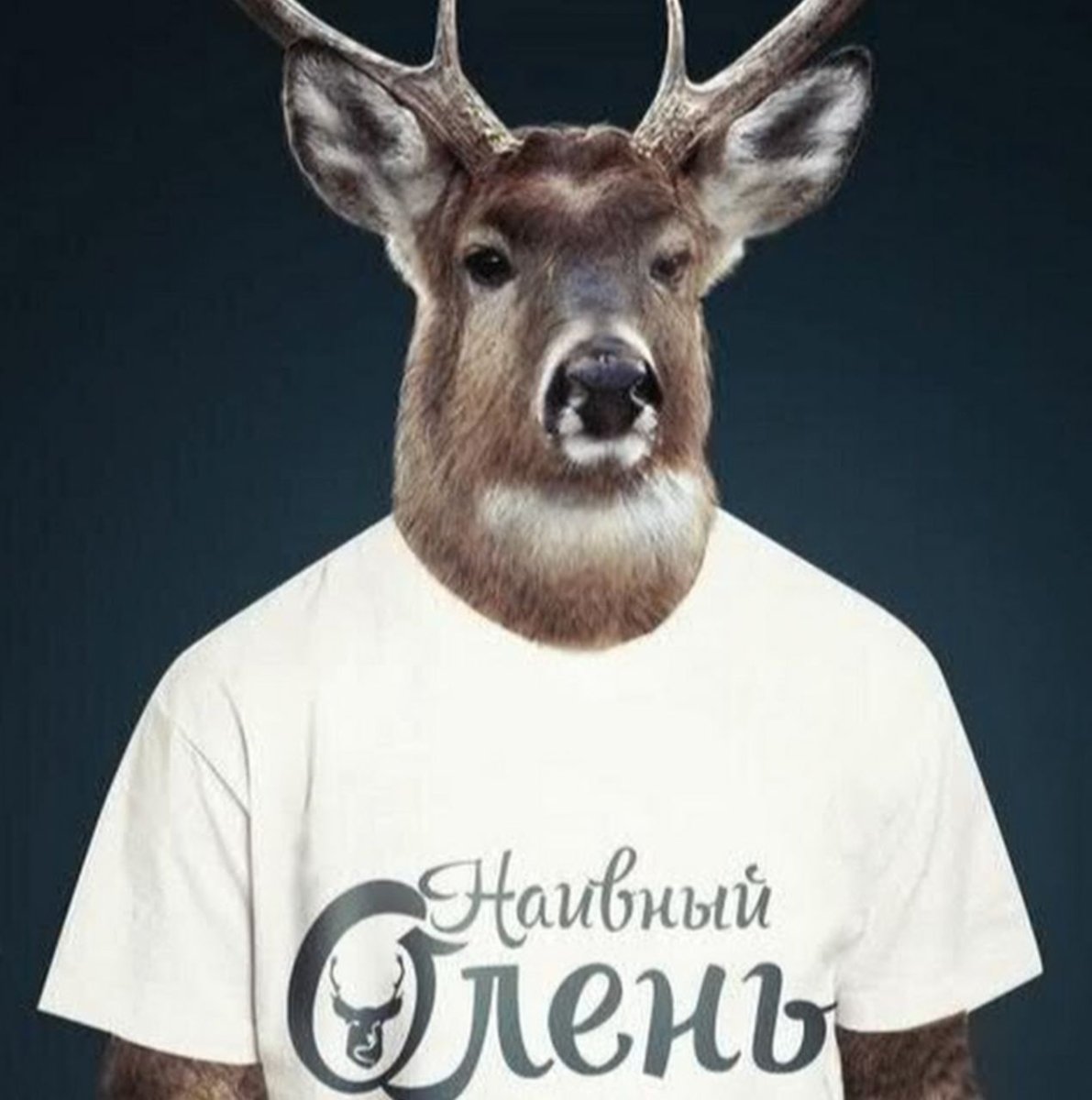 Наивный олень