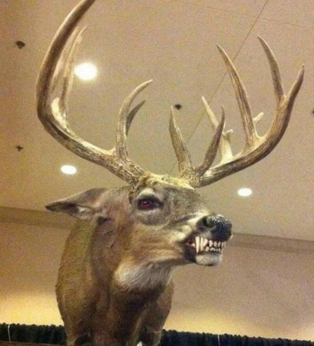 Олень с клыками