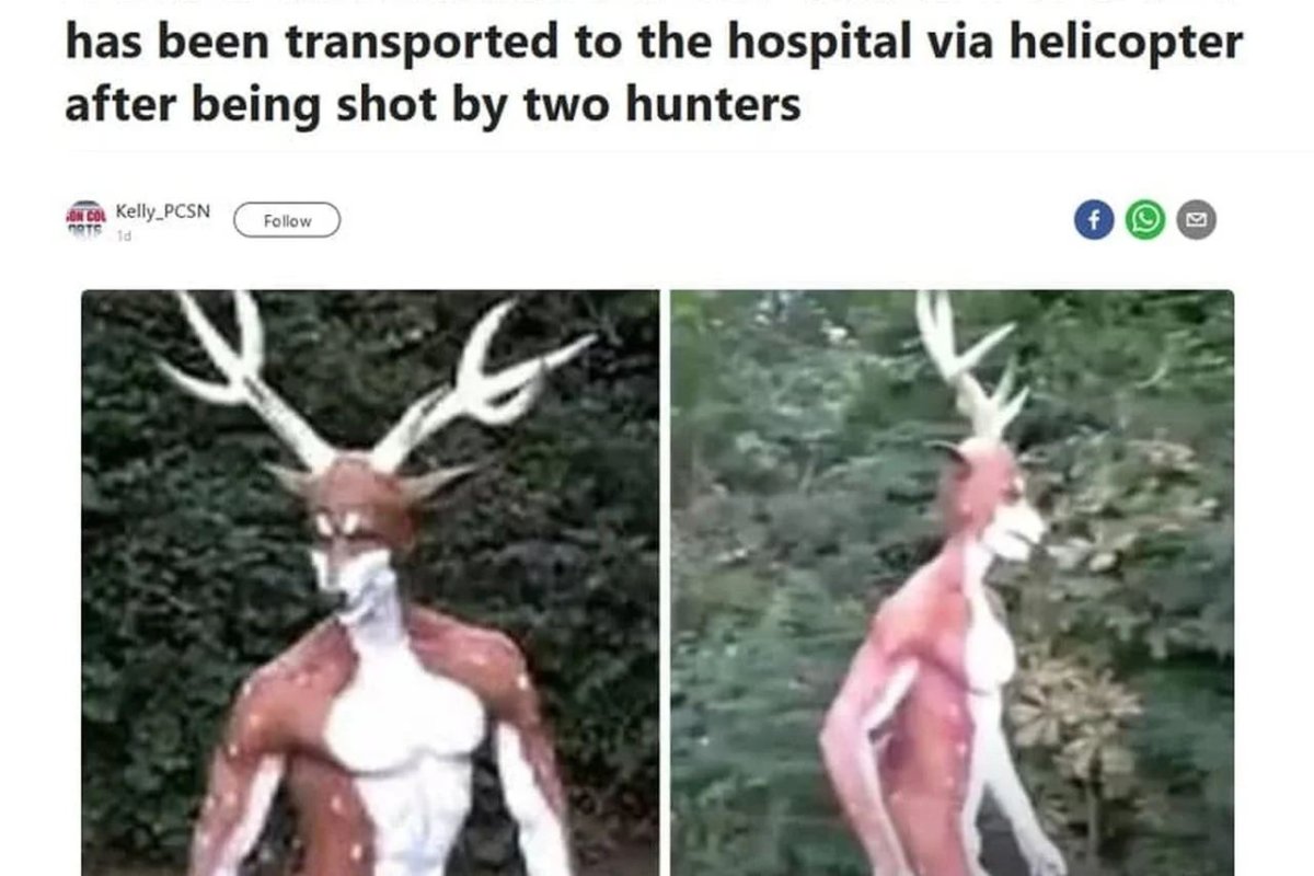 Человека оленя подстрелили