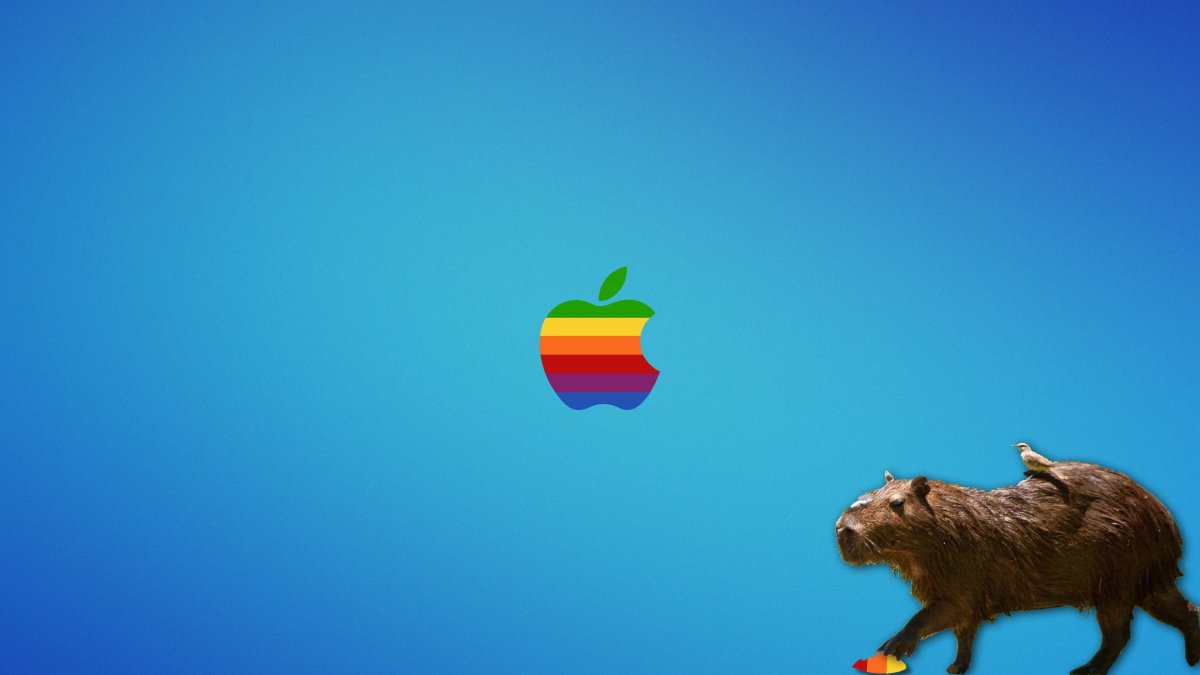 Капибара обои 4к