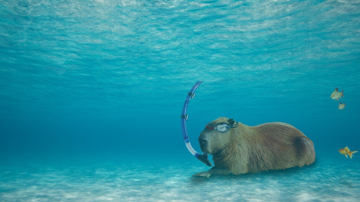 Капибара сельвы