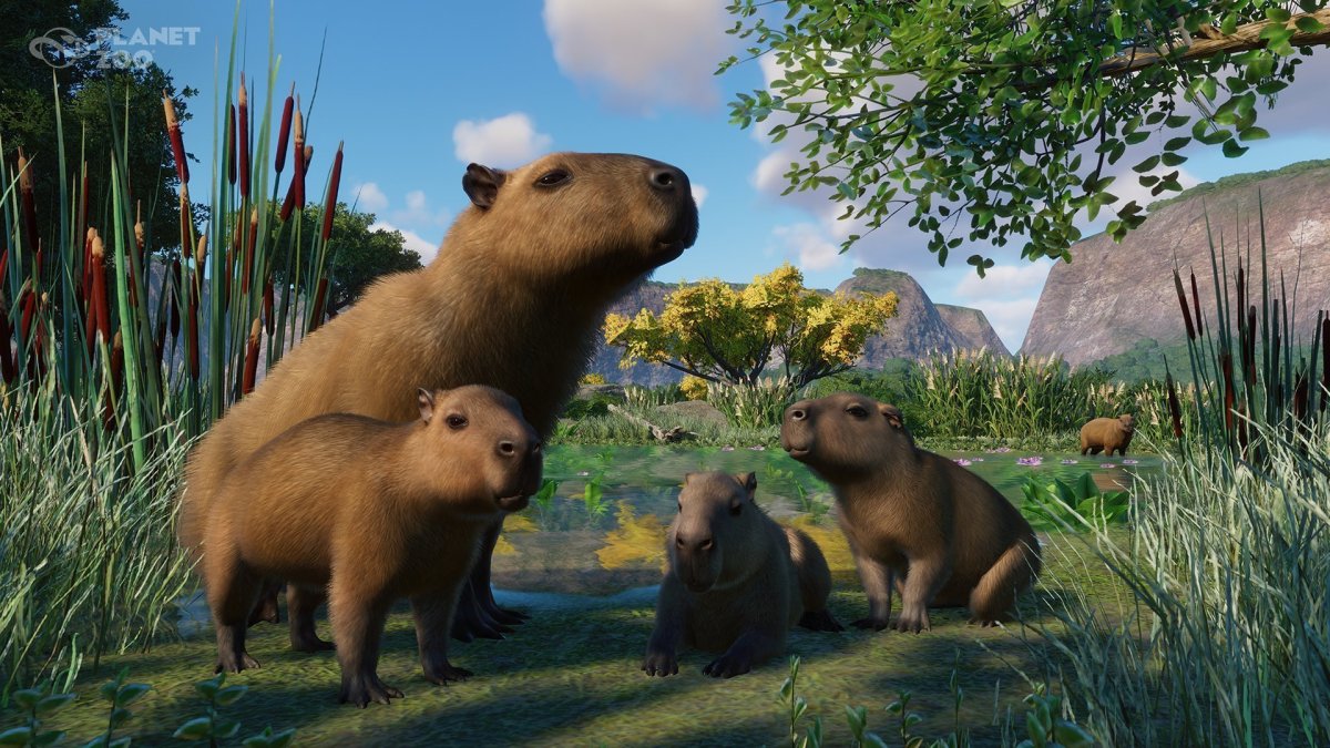 Риона капибара бандори