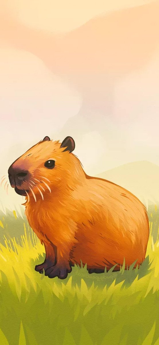 Капибара обои