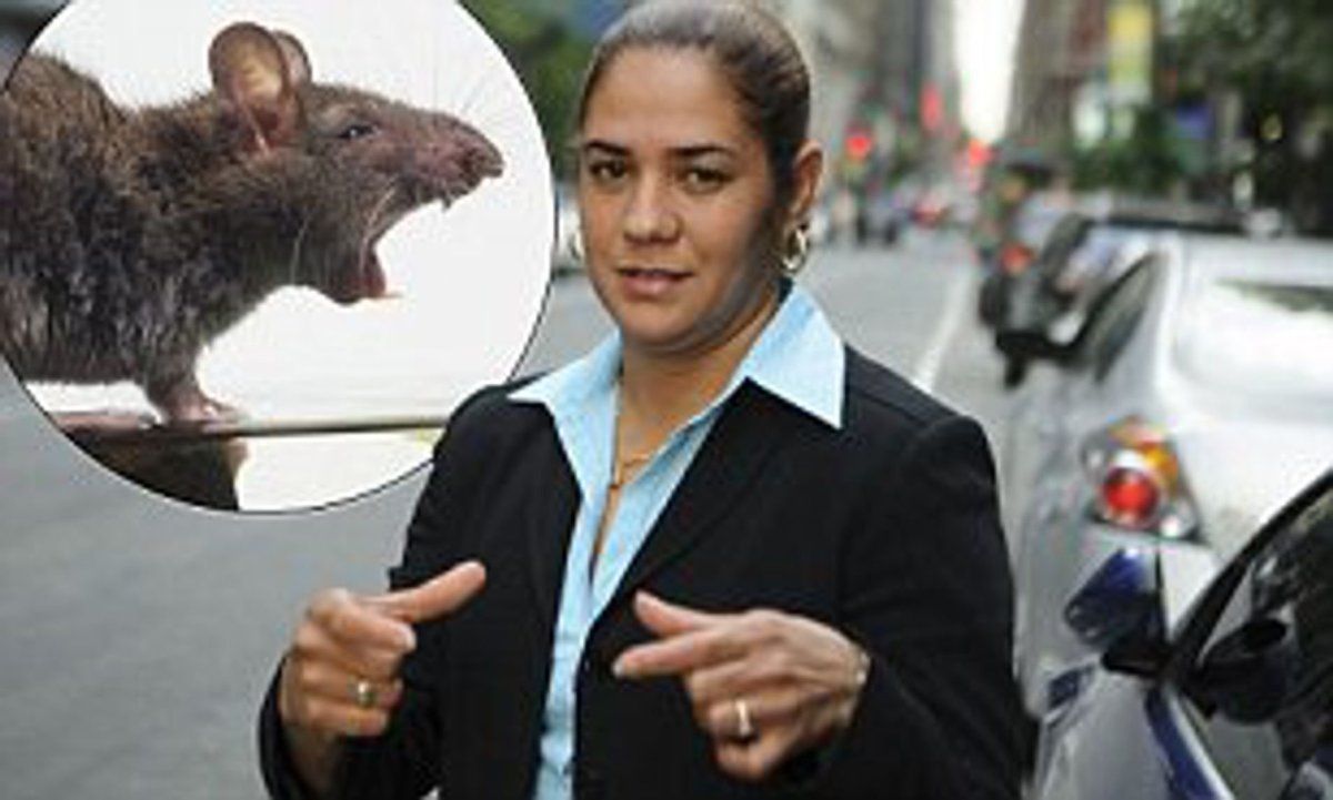 Крыса в жилетке