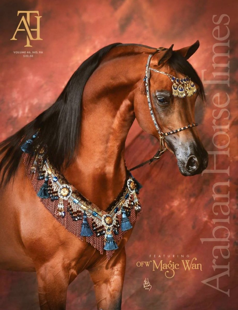 Арабские лошади украшения