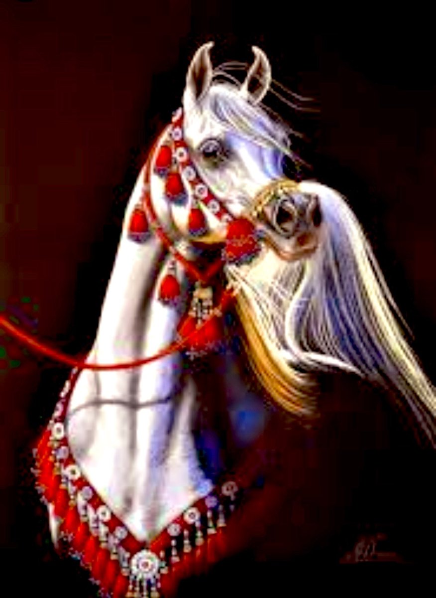 Anchor "арабская лошадь"