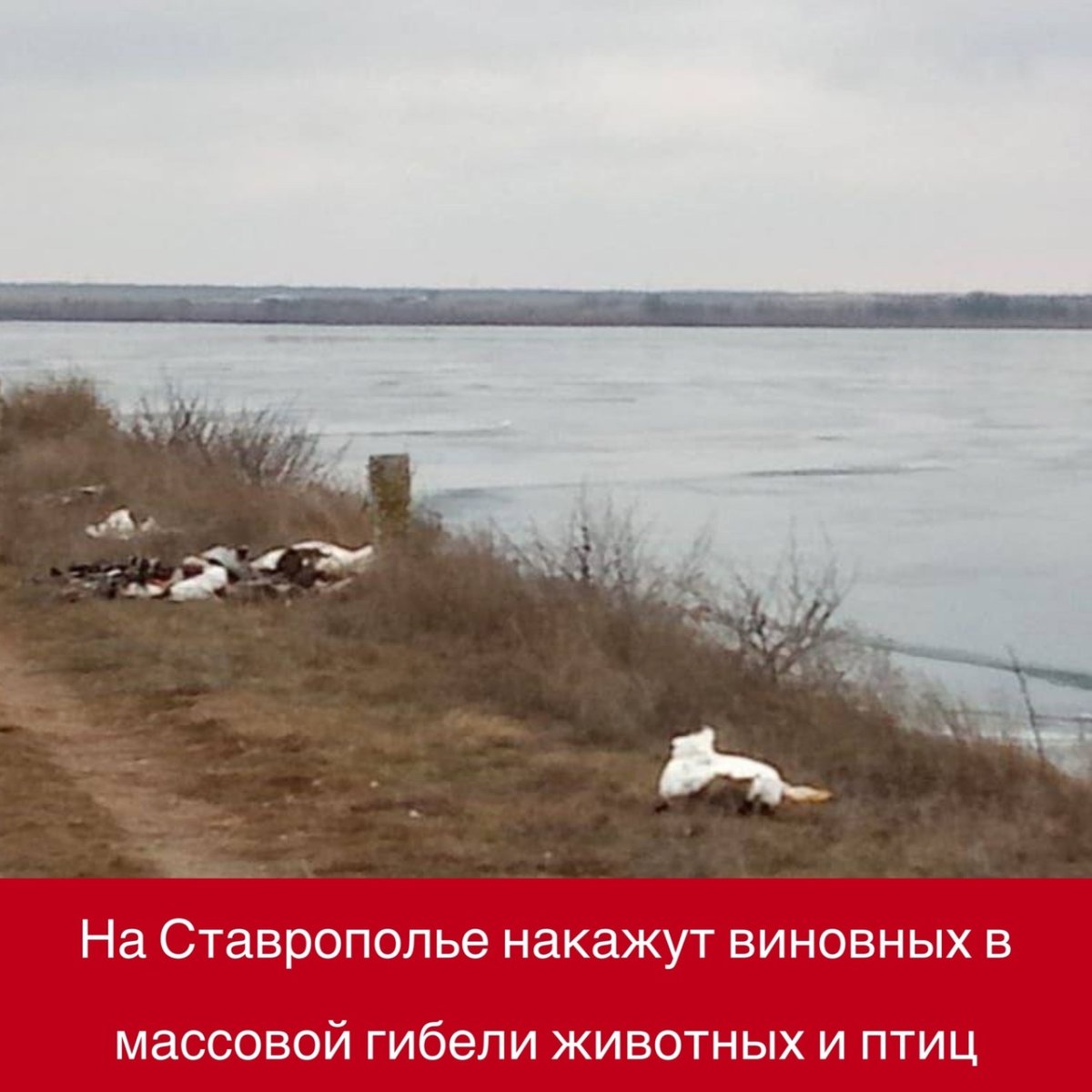 Дундинское водохранилище