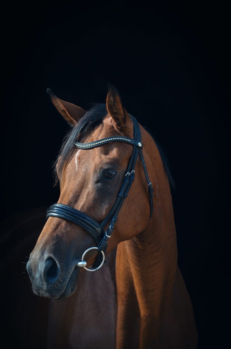 Эквиплан спорт конно-спортивный клуб