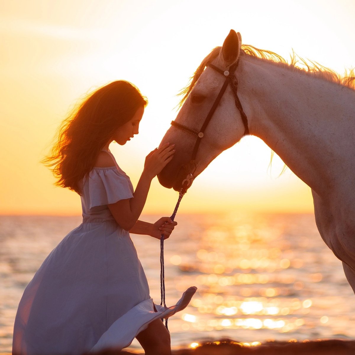 Лошадь и Ляля