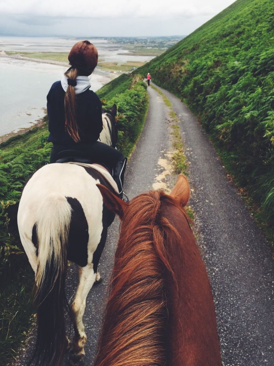 Девушка на лошади со спины