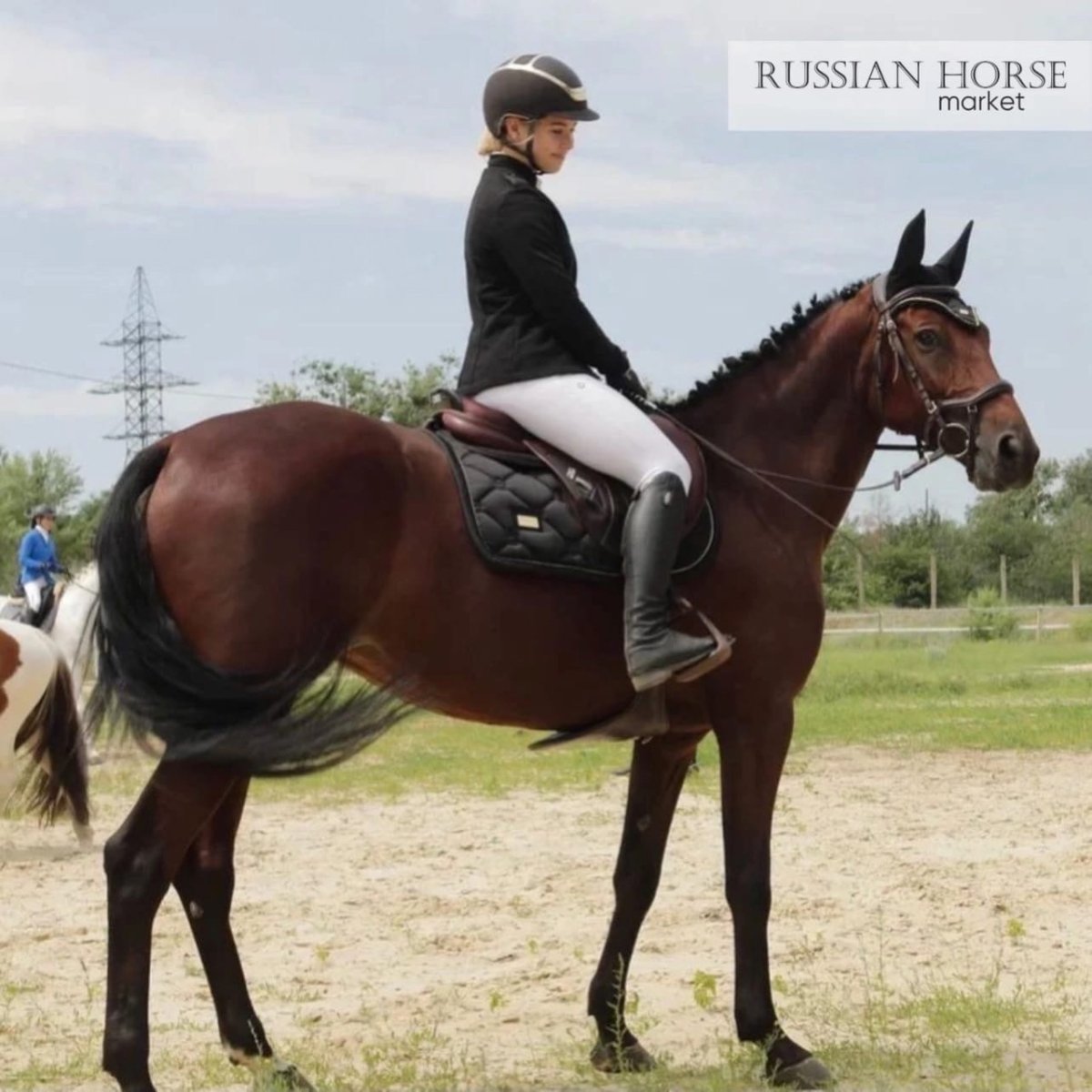 Россия кобыла