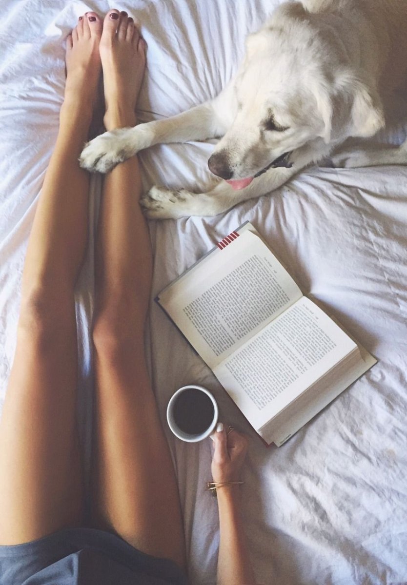 Собака с тонкими ногами