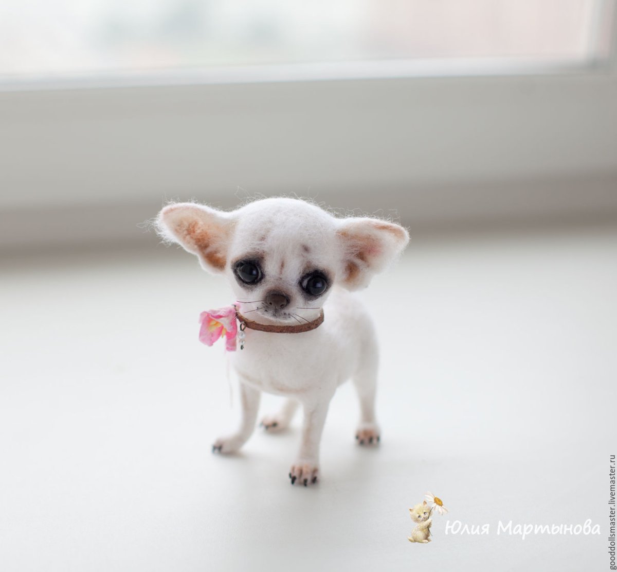 Чихуахуа стандарт мини микро