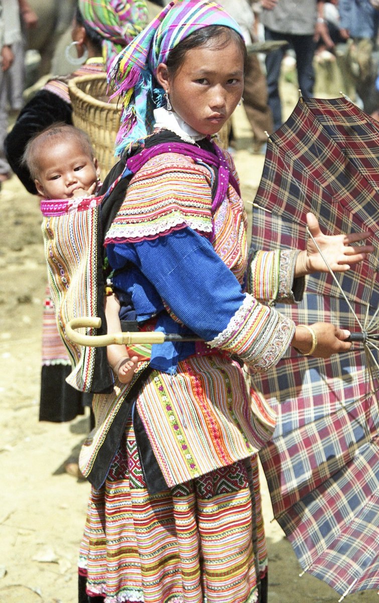 Куцехвостый хмонг