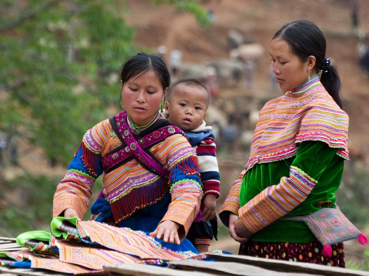 Вьетнамский хмонг порода