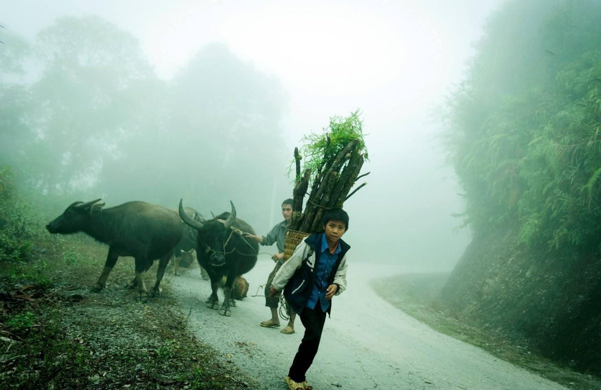 Картина превосходство человека над природой
