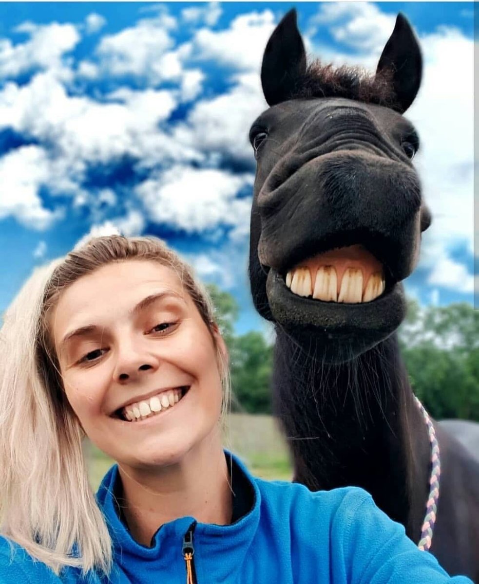 Лошадиная улыбка