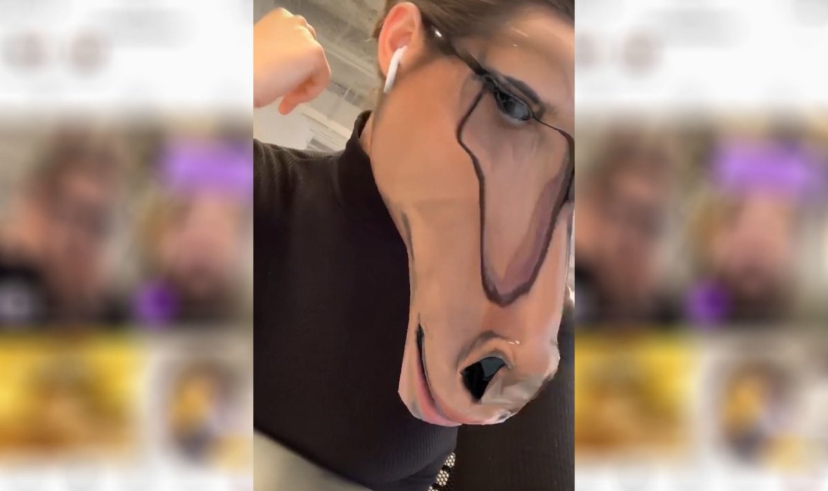 Фильтр лицо лошади