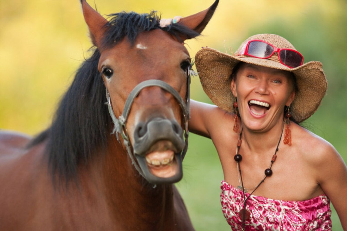 Улыбающаяся лошадь