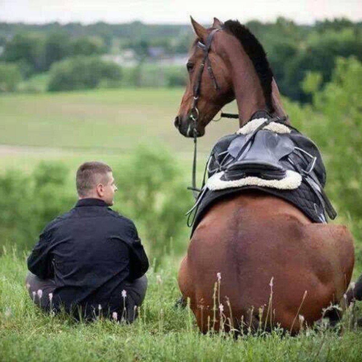 Приколы про казахов