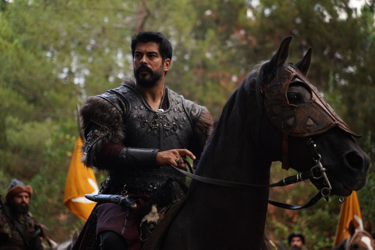 Животное бурак