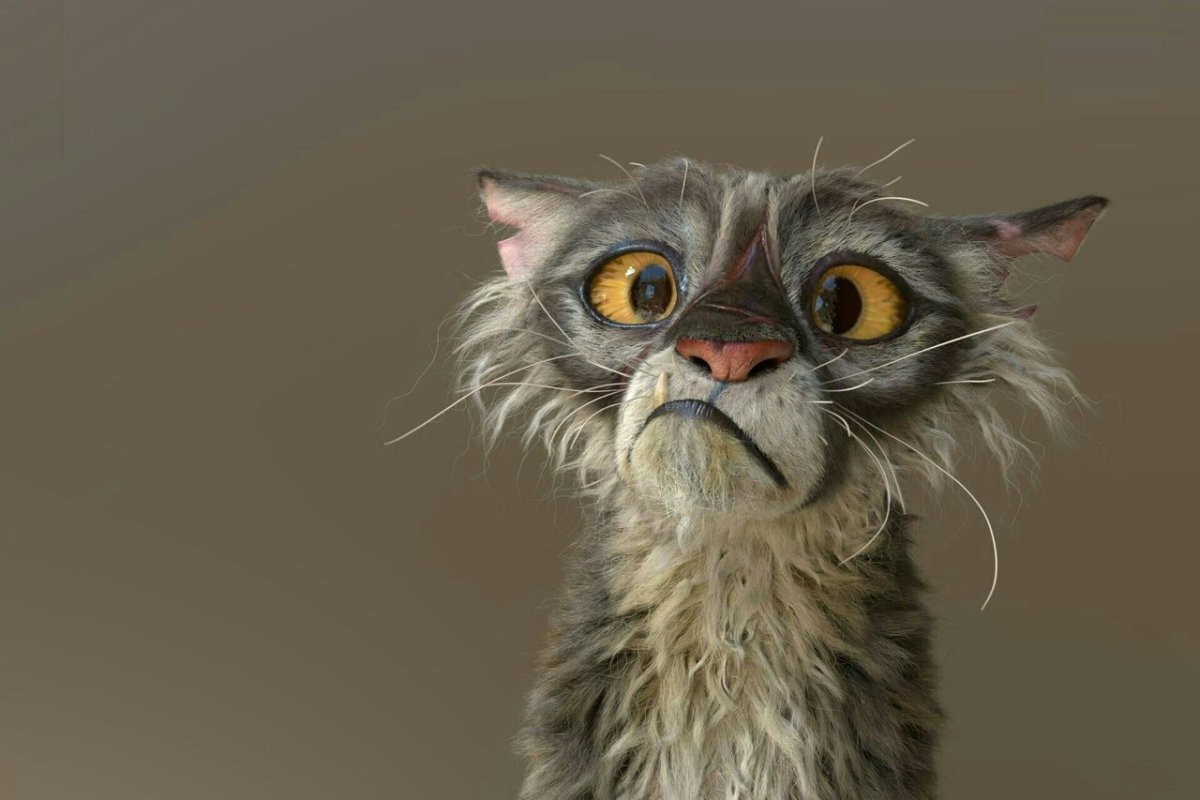 Облезлый кот