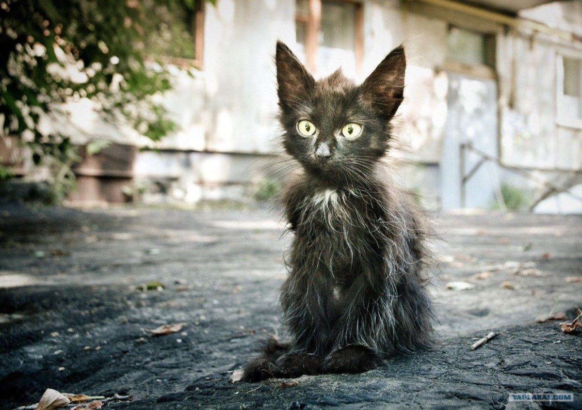 Нет уверенности в завтрашнем дне