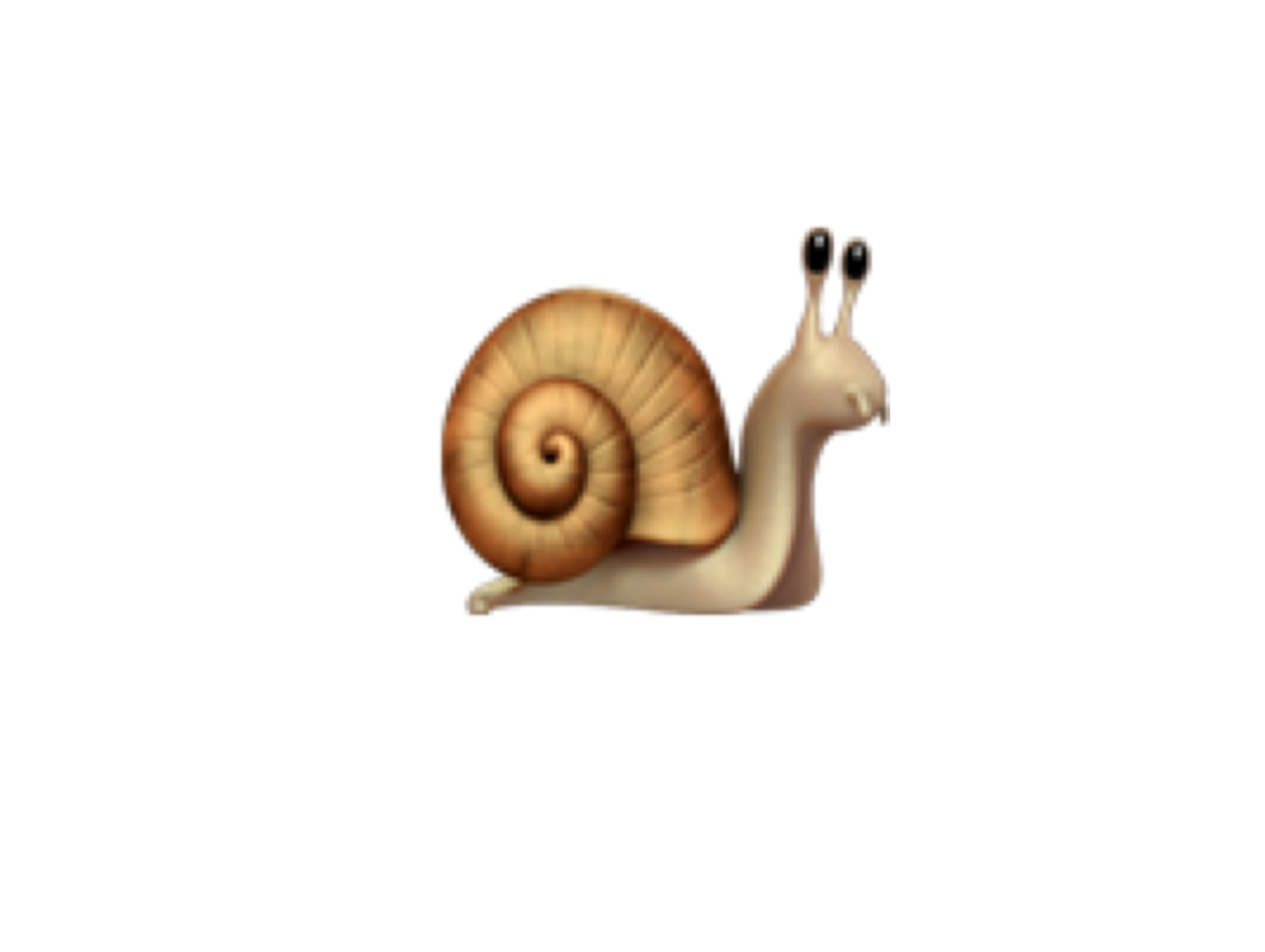 Улитка на прозрачном фоне