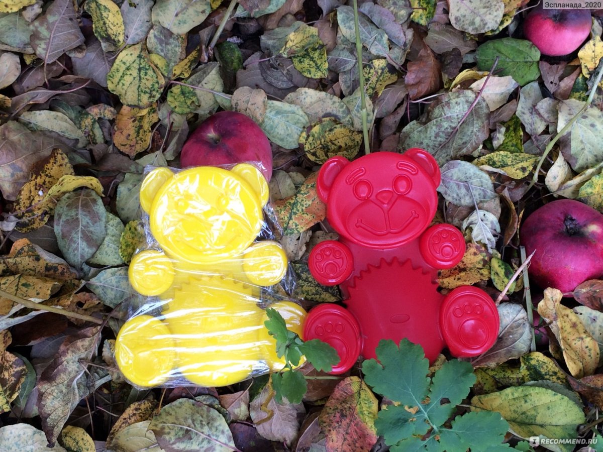 Валера и желтобрюх