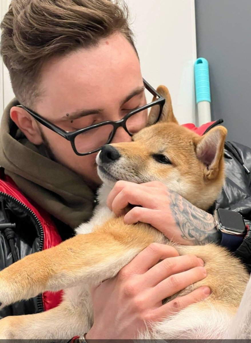 Сиба ину Эдисона