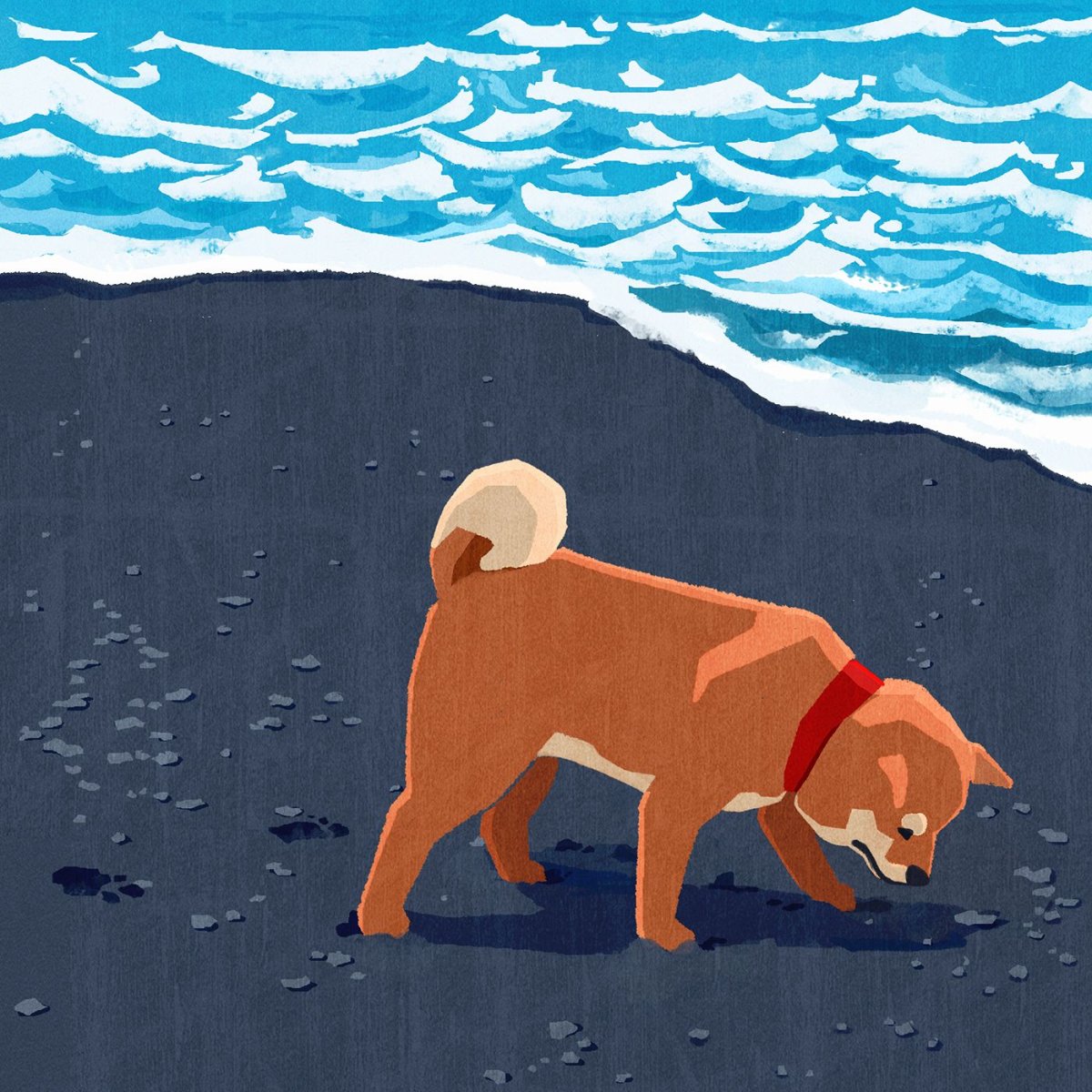 Сиба ину рисунок