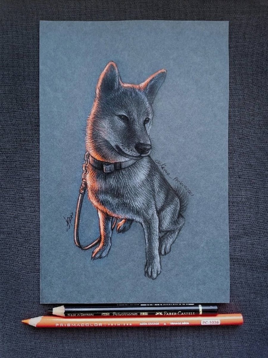 Марти собака Эдисона