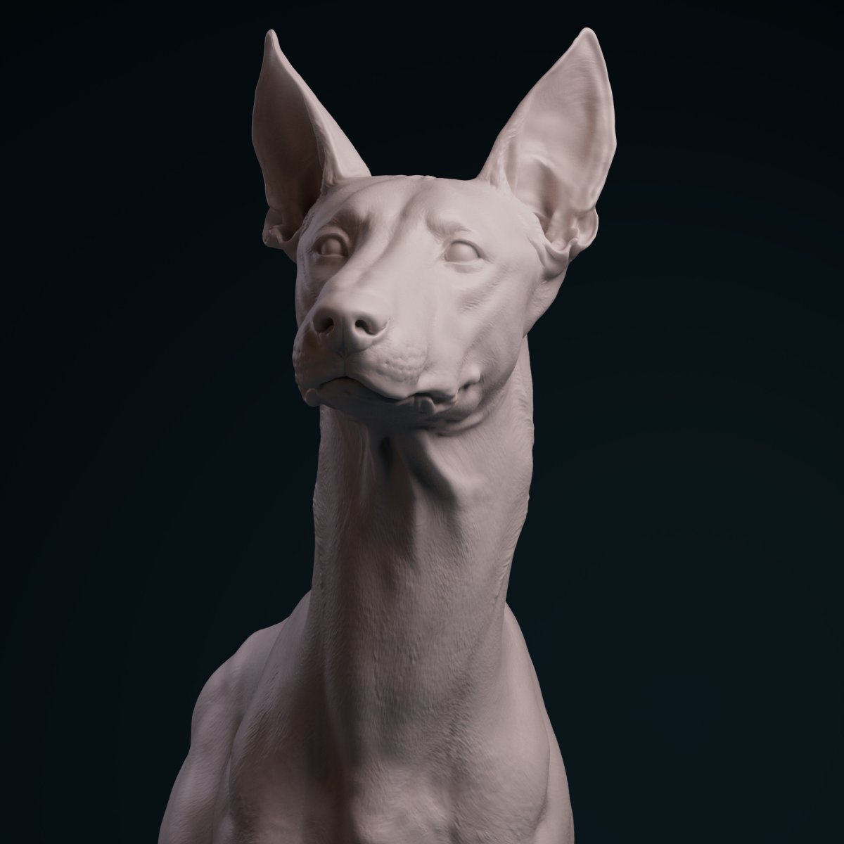 Фараонова собака с голубыми глазами