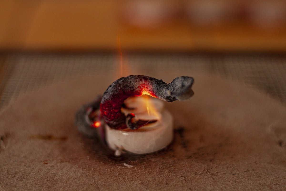 Фокус Фараонова змея