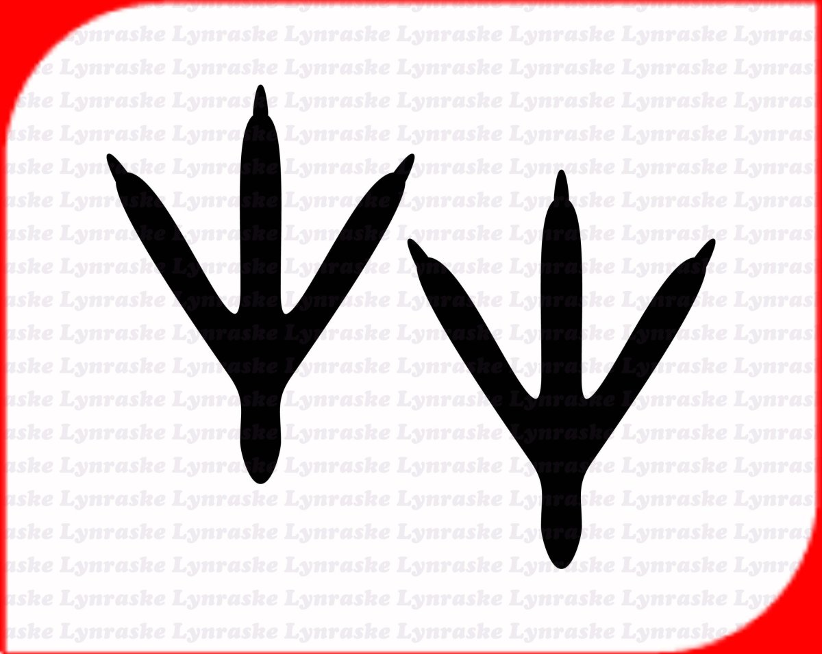 Следы вороны