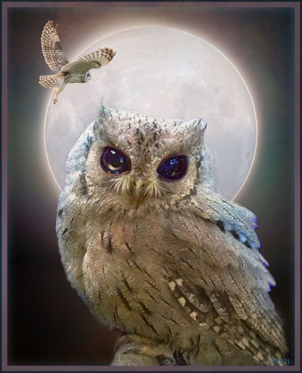 Сова с зелеными глазами