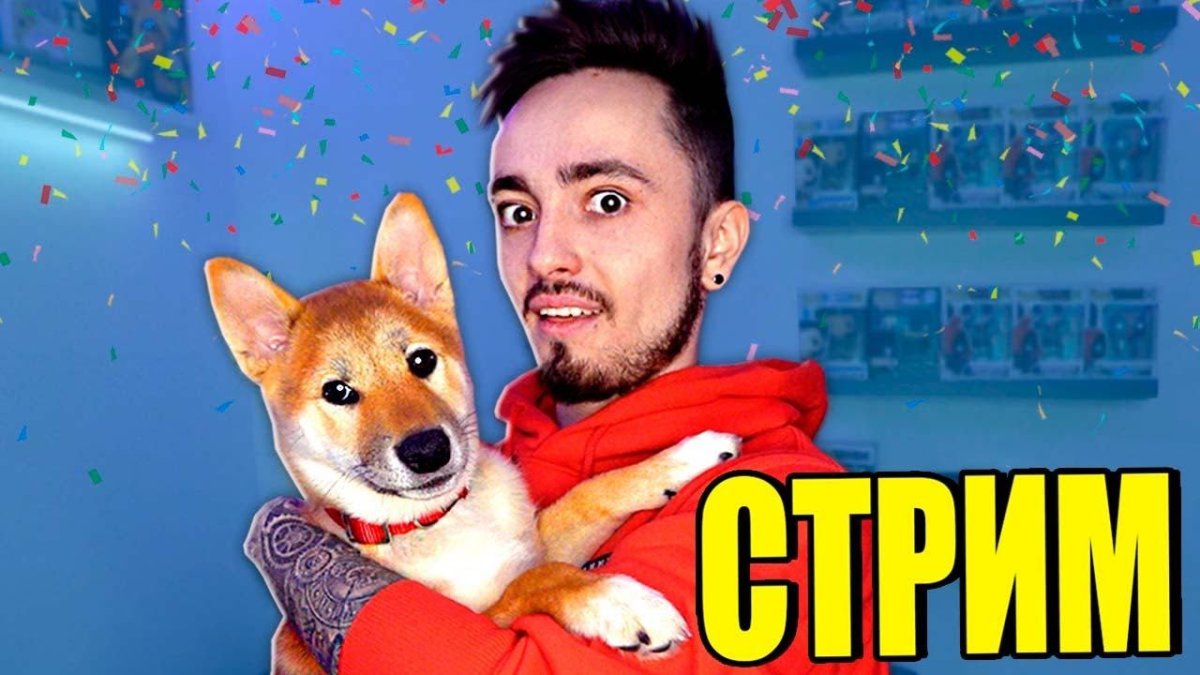 Новая собака Эдисона