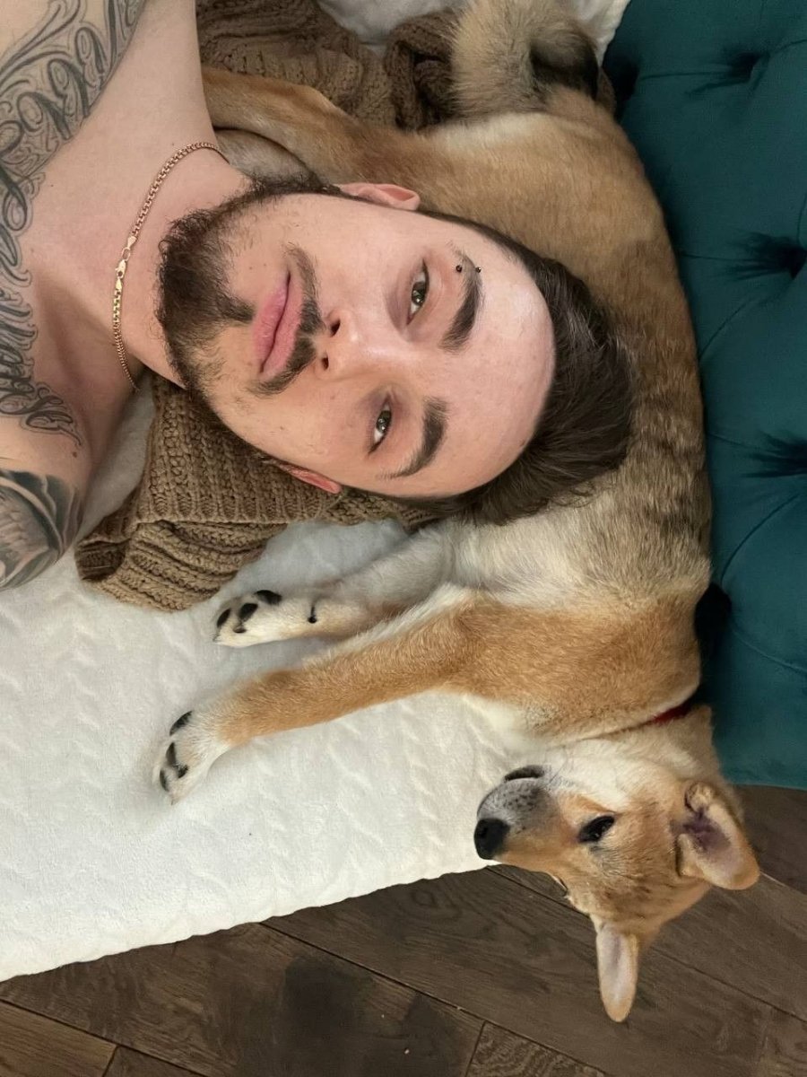 Собака EDISONPTS