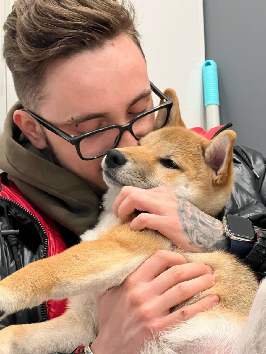 Сиба ину Эдисона