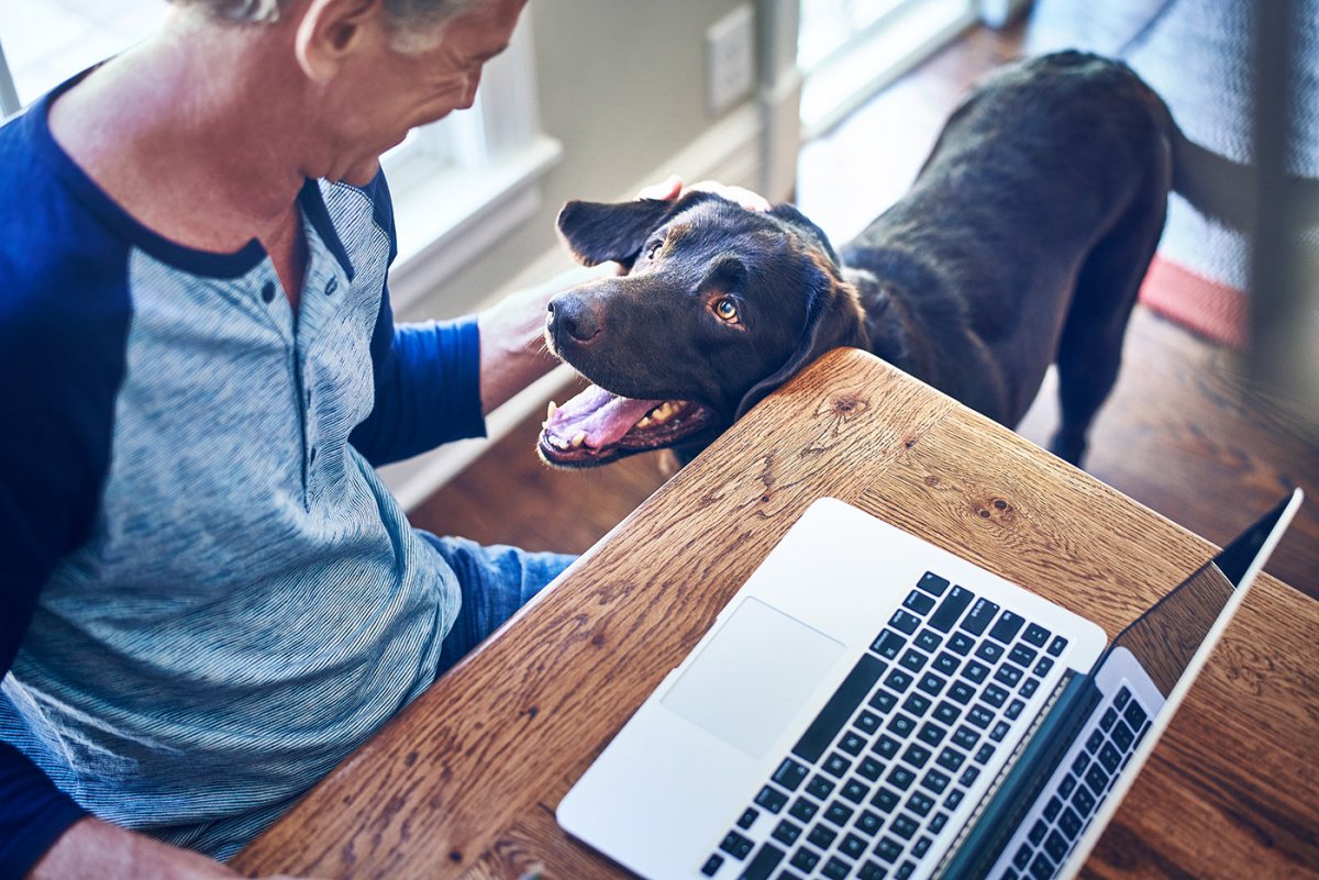 Собака Саша