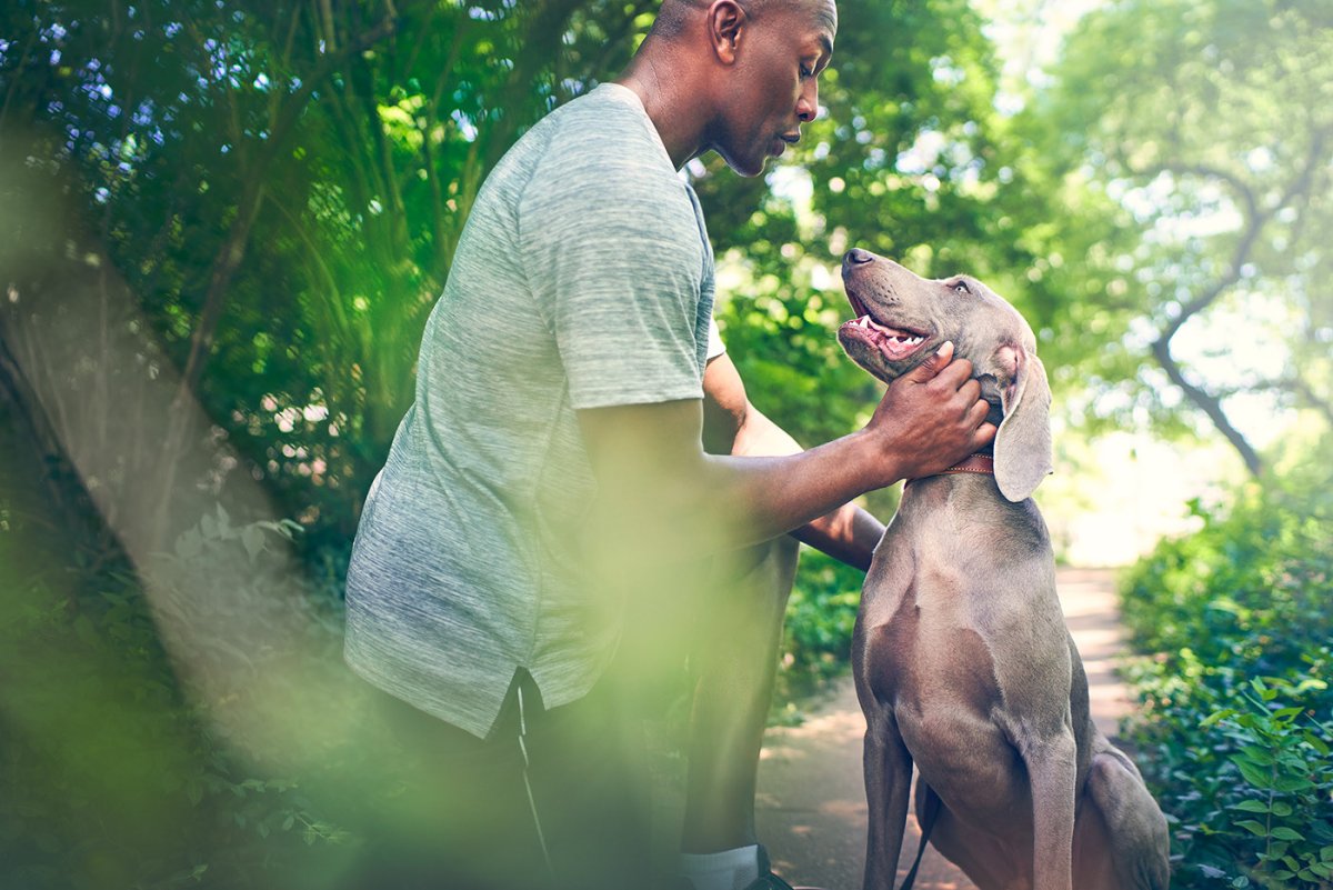 Бенджамин собака